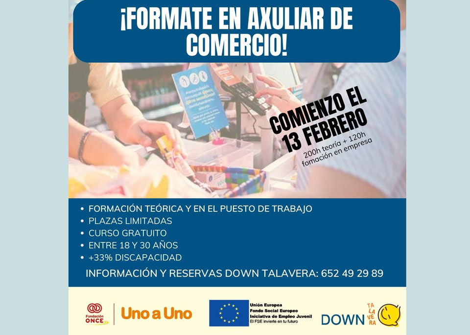 curso auxiliar de comercio down talavera